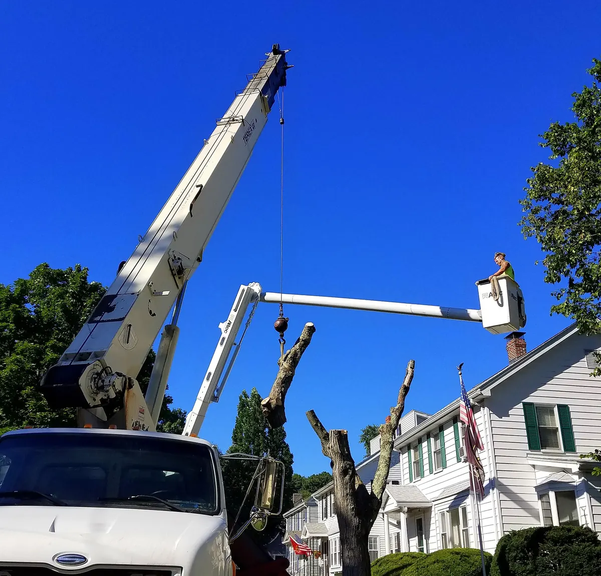 A bucket truck and crane dismantling a partly cut tree beside a house